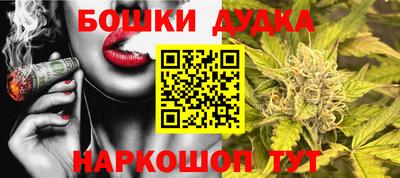 трава Гатчина