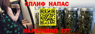спиды Гагарин