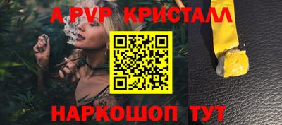 спиды Гагарин