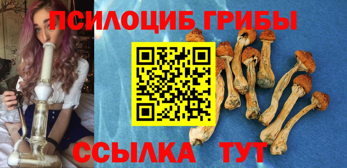 Псилоцибиновые грибы мухоморы Балахна