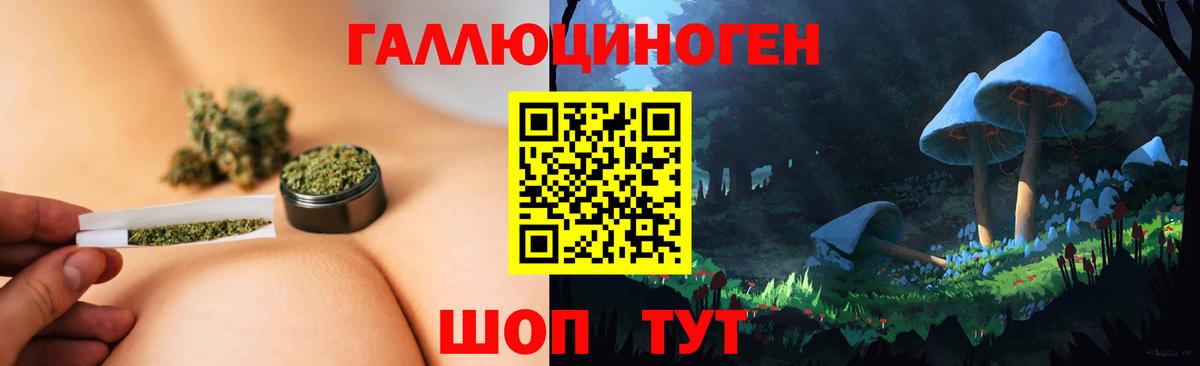 Балахна  Псилоцибиновые грибы мицелий  что такое   Вход с VPN 